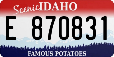 ID license plate E870831