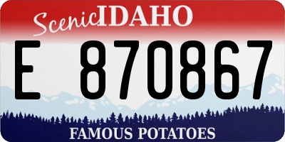 ID license plate E870867