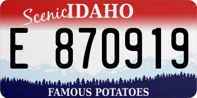 ID license plate E870919