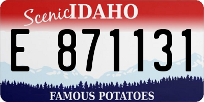 ID license plate E871131