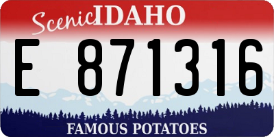 ID license plate E871316