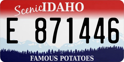 ID license plate E871446