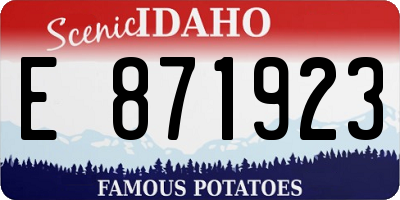 ID license plate E871923