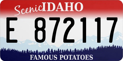 ID license plate E872117