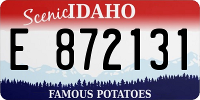 ID license plate E872131