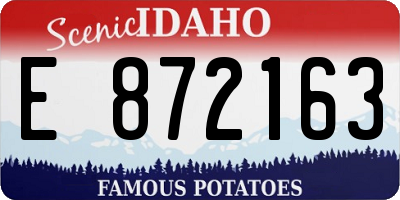 ID license plate E872163