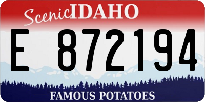 ID license plate E872194