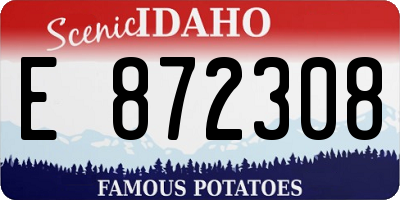 ID license plate E872308