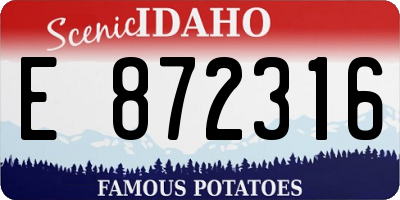 ID license plate E872316