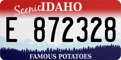 ID license plate E872328