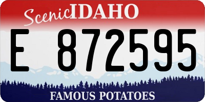 ID license plate E872595