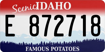 ID license plate E872718