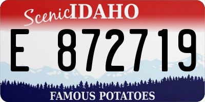 ID license plate E872719
