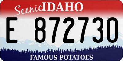 ID license plate E872730