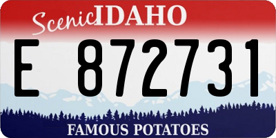 ID license plate E872731