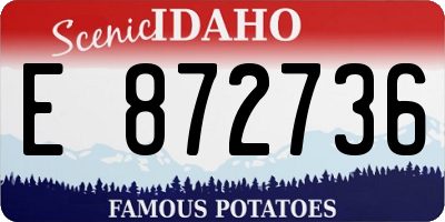 ID license plate E872736