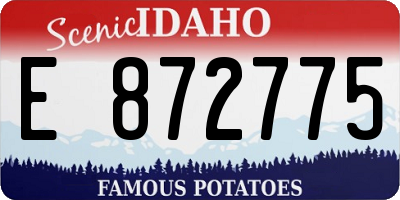 ID license plate E872775