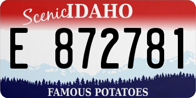 ID license plate E872781