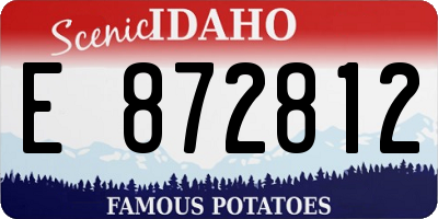 ID license plate E872812
