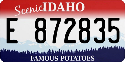 ID license plate E872835