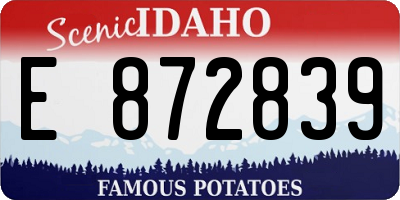 ID license plate E872839