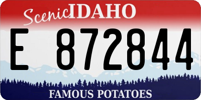 ID license plate E872844