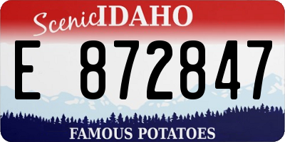 ID license plate E872847