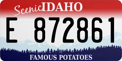 ID license plate E872861