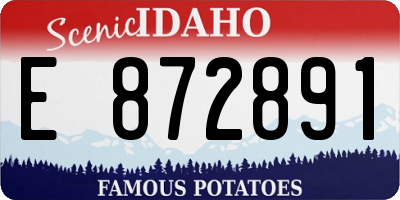 ID license plate E872891