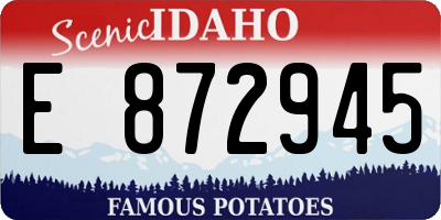 ID license plate E872945