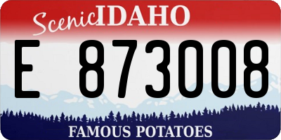 ID license plate E873008