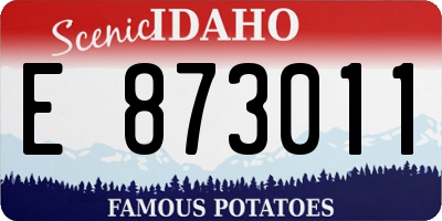 ID license plate E873011