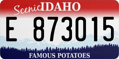 ID license plate E873015