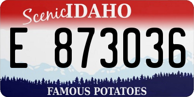 ID license plate E873036