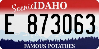 ID license plate E873063