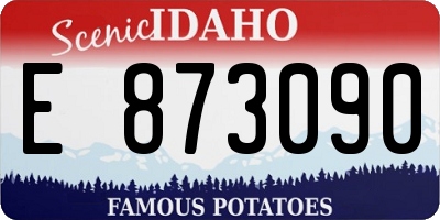 ID license plate E873090