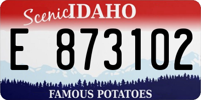ID license plate E873102
