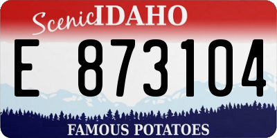 ID license plate E873104