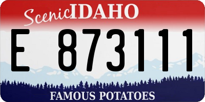 ID license plate E873111