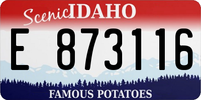 ID license plate E873116