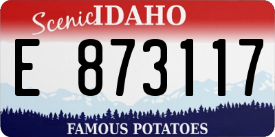 ID license plate E873117