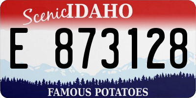 ID license plate E873128