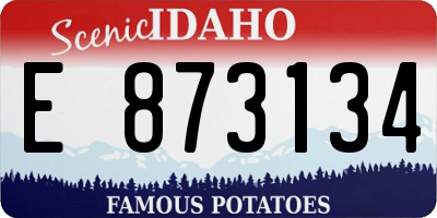 ID license plate E873134