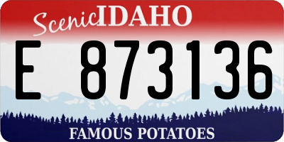ID license plate E873136