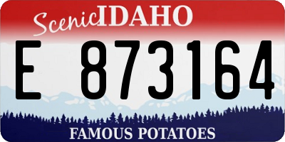 ID license plate E873164