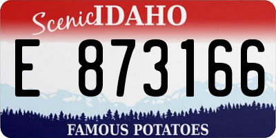 ID license plate E873166