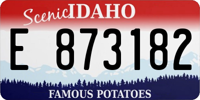 ID license plate E873182