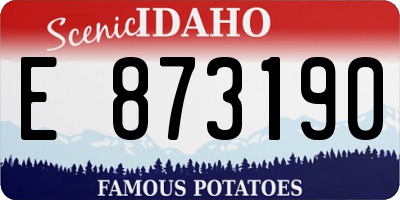 ID license plate E873190