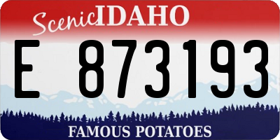 ID license plate E873193