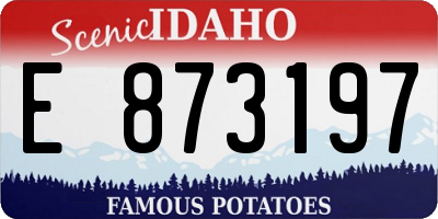 ID license plate E873197